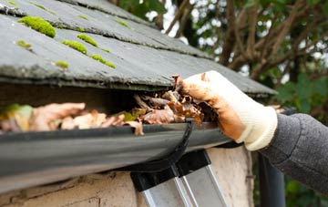 gutter cleaning Bicton