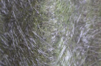 Bicton fibreglass roof work